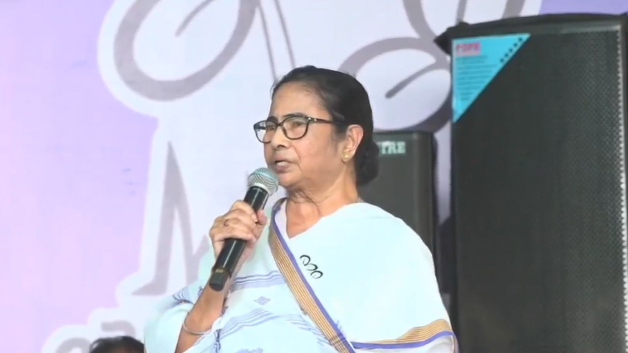 Mamata Banerjee: 'আমি যদি ফাঁসাতাম ভালো করে ফাঁসাতাম', ভরা মঞ্চে দাঁড়িয়ে কাকে এ কথা বললেন মমতা?
