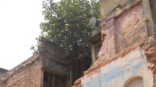 Muchipara Building Collapse: কেঁপে উঠল ভূমিকম্পের মতো, চারপাশ ঢাকল ধুলোয়, এবার মুচিপাড়ায় ভেঙে পড়ল বাড়ির একাংশ