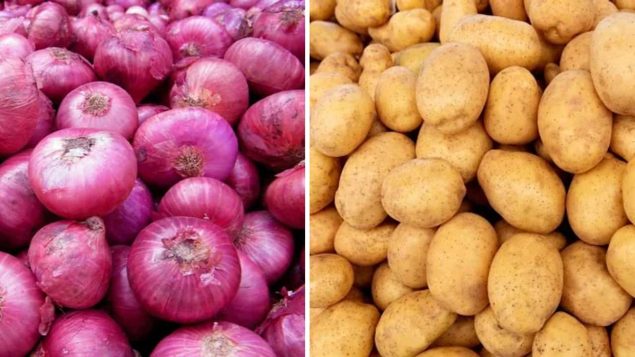 Potato-Onion Price: আলু-পেঁয়াজের দাম বাড়ছে, স্বস্তি কবে? Potato-Onion Price: আলু-পেঁয়াজের দাম বাড়ছে, স্বস্তি কবে?