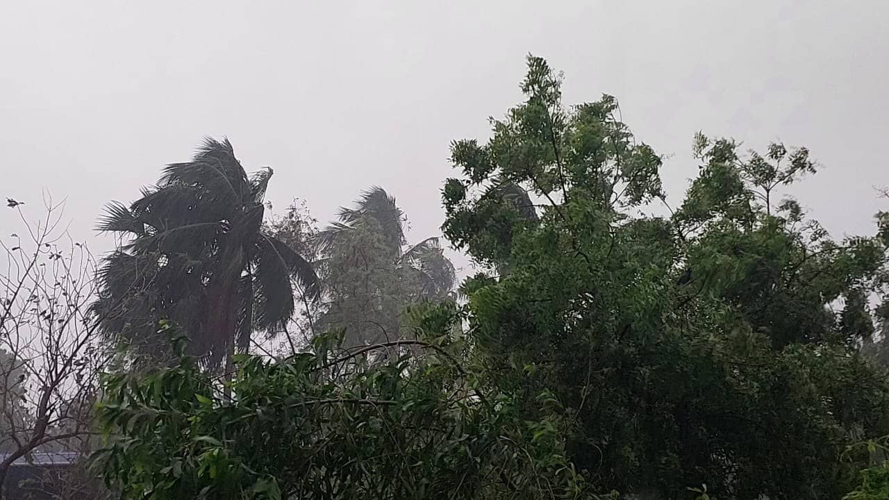 Rain Forecast: রবির সকালেই নামল সন্ধ্যা, প্রবল বৃষ্টি একাধিক জেলায়, কিছুক্ষণের মধ্যেই ভিজবে কলকাতা