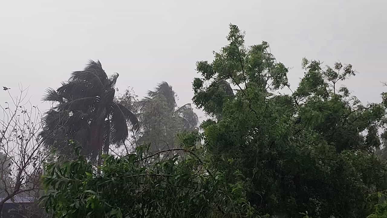 Rain Forecast: রবির সকালেই নামল সন্ধ্যা, প্রবল বৃষ্টি একাধিক জেলায়, কিছুক্ষণের মধ্যেই ভিজবে কলকাতা Rain Forecast: রবির সকালেই নামল সন্ধ্যা, প্রবল বৃষ্টি একাধিক জেলায়, কিছুক্ষণের মধ্যেই ভিজবে কলকাতা