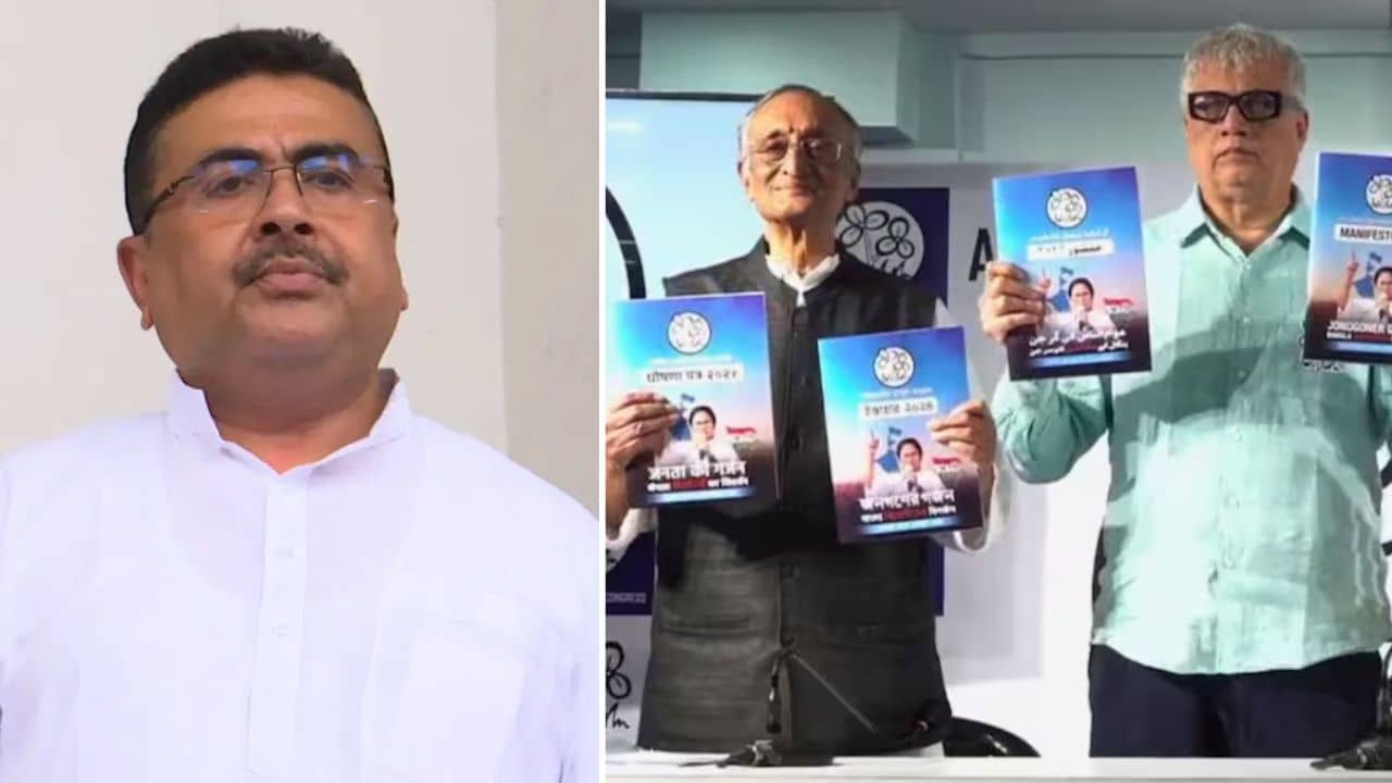 Suvendu Adhikari: পুকুরে ইলিশ ধরার মতো, তৃণমূলের ইস্তেহারকে কটাক্ষ শুভেন্দুর