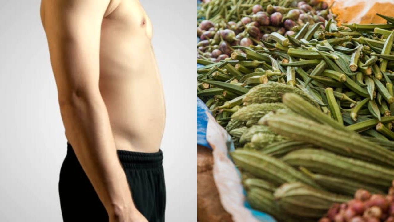 Weight Loss Vegetables: লাউ-ঝিঙে-ঢ্যাঁড়শের মতো আনাজ কি ওজন কমাতে পারে? গরমে পরখ করে দেখুন