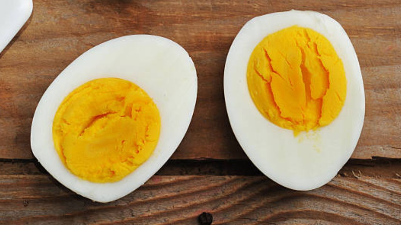 Egg Consumption: অত্যধিক গরমে রোজ ডিম খাওয়া কি ভাল? খেলেও ক’টা খাবেন?