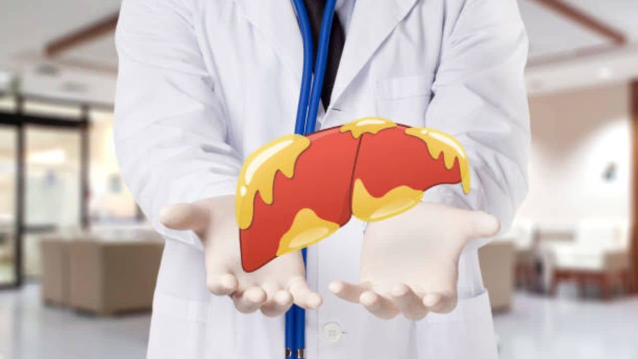 Fatty Liver: গরমে ভাজাভুজি খেলেই বাড়বে ফ্যাটি লিভার, এই ৪ আয়ুর্বেদিক টোটকায় যকৃতকে রাখুন টক্সিন মুক্ত