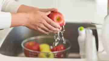 Fruits Washing Tips: বাজার থেকে ফল-সবজি কিনে এনে ফ্রিজে ঢোকাবেন না, এই টোটকায় পরিষ্কার করুন