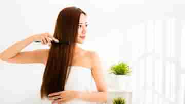 Summer Hair Care: চুল কেটে ফেললেই কি সব সমস্যা থেকে মুক্তি মিলবে? গরমে মানুন ৫টি টিপস