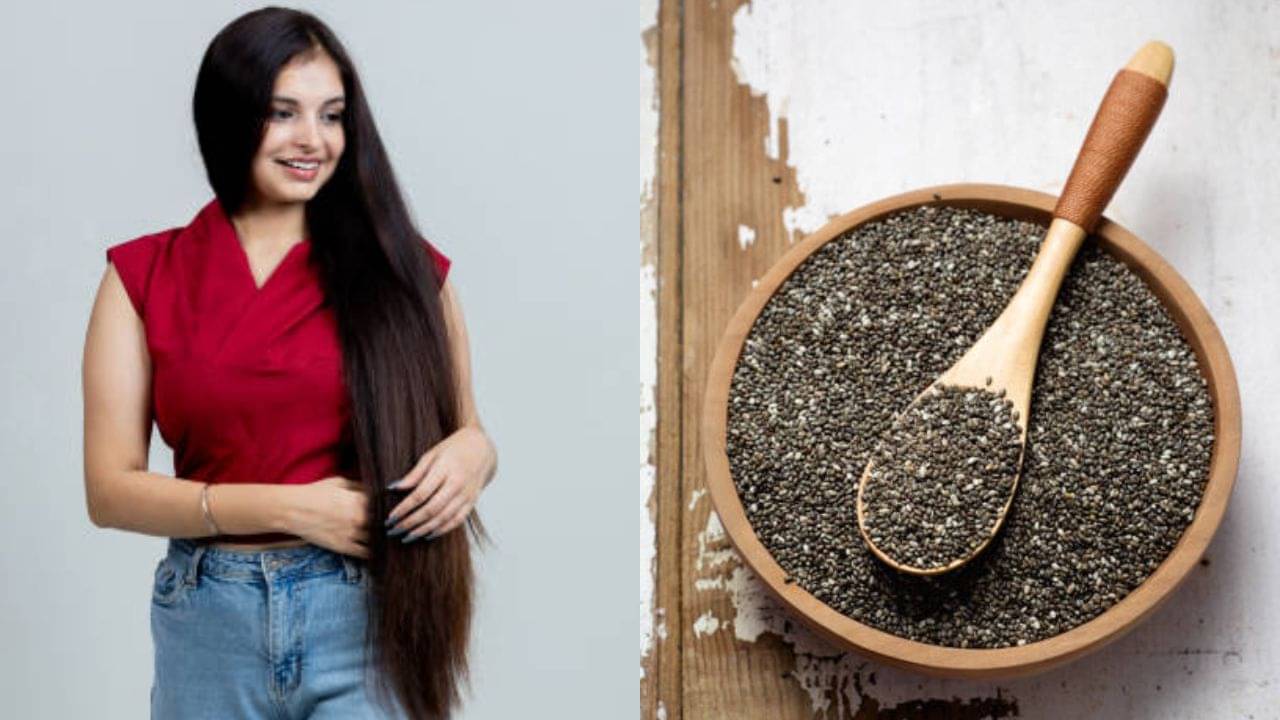 Chia Seeds for Hair: স্নানের ১০ মিনিট আগে মাথায় মাখুন চিয়া সিডের মাস্ক, চুল উঠবে না আগামী ১০ বছর