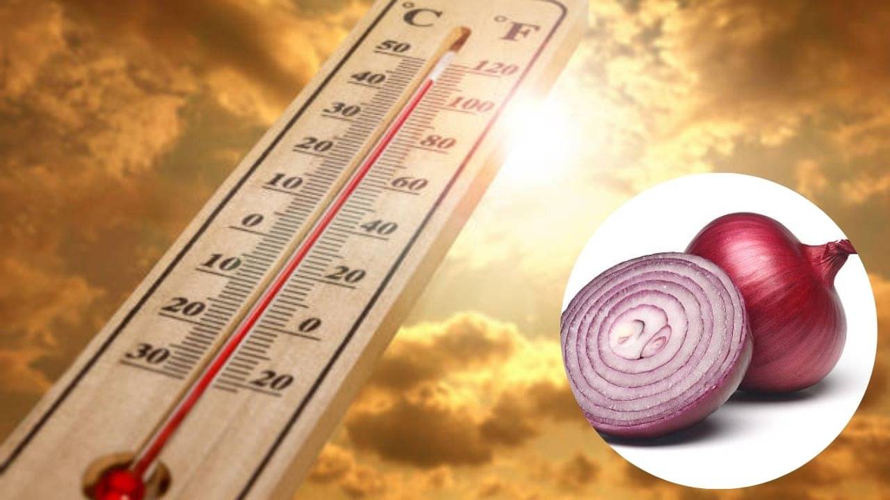 Heat Stroke: পকেটে কাঁচা পেঁয়াজ নিয়ে রাস্তায় বেরোলে কি হিট স্ট্রোকের ঝুঁকি এড়ানো যায়? জানুন আসল সত্য