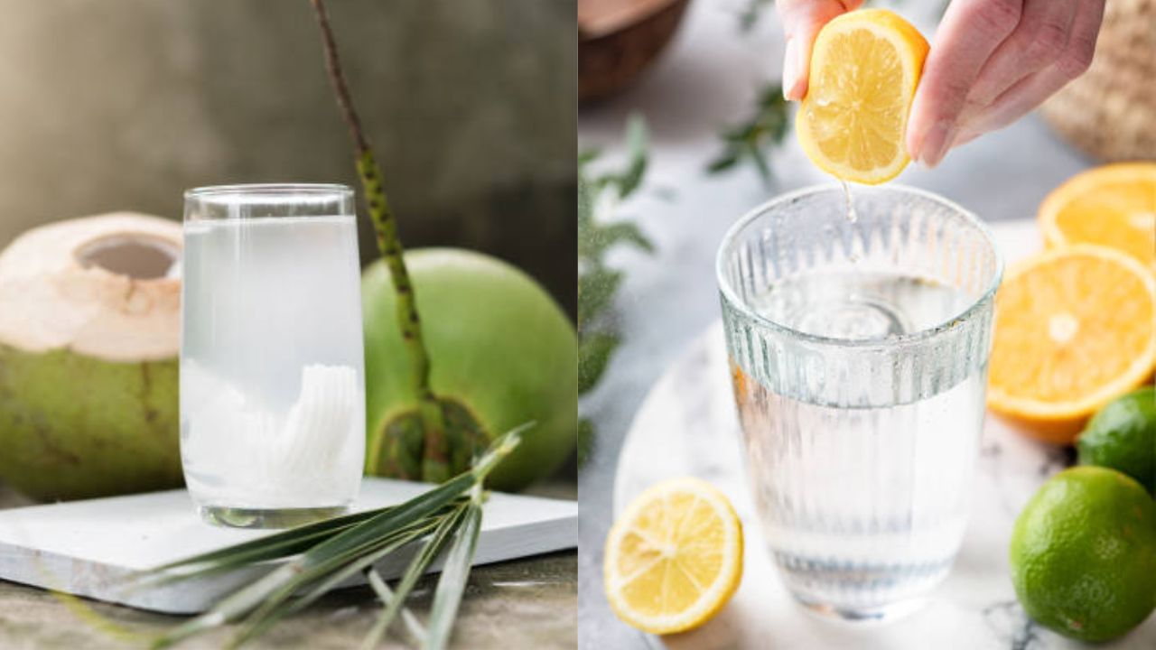 Coconut Water vs Lemon Water: ডাবের জল নাকি লেবুর জল, গরমে তাৎক্ষণিক স্বস্তি এনে দেবে কোন পানীয়?