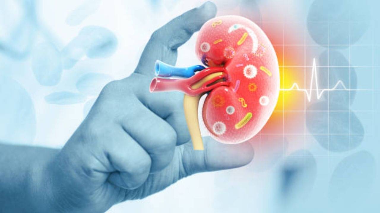 Fruits for Kidney: স্ন্যাকসে নোনতা খাবার ছেড়ে এই ৫ ফল খান, তবেই ভাল থাকবে দুটি কিডনি