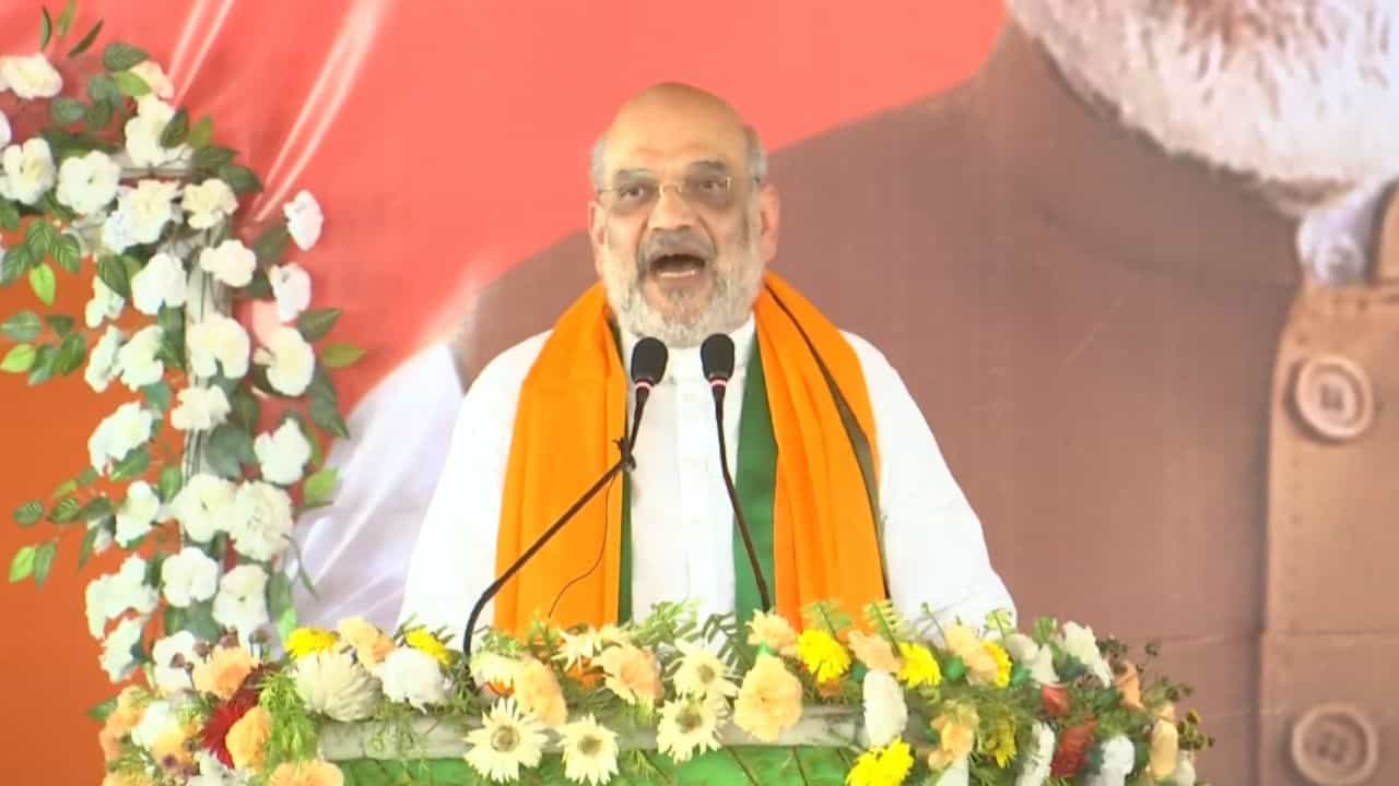 Amit Shah: 'নাগরিকত্ব চলে যাবে বলছেন... নাগরিকত্বই তো নেই', বালুরঘাটে মমতাকে জবাব শাহের