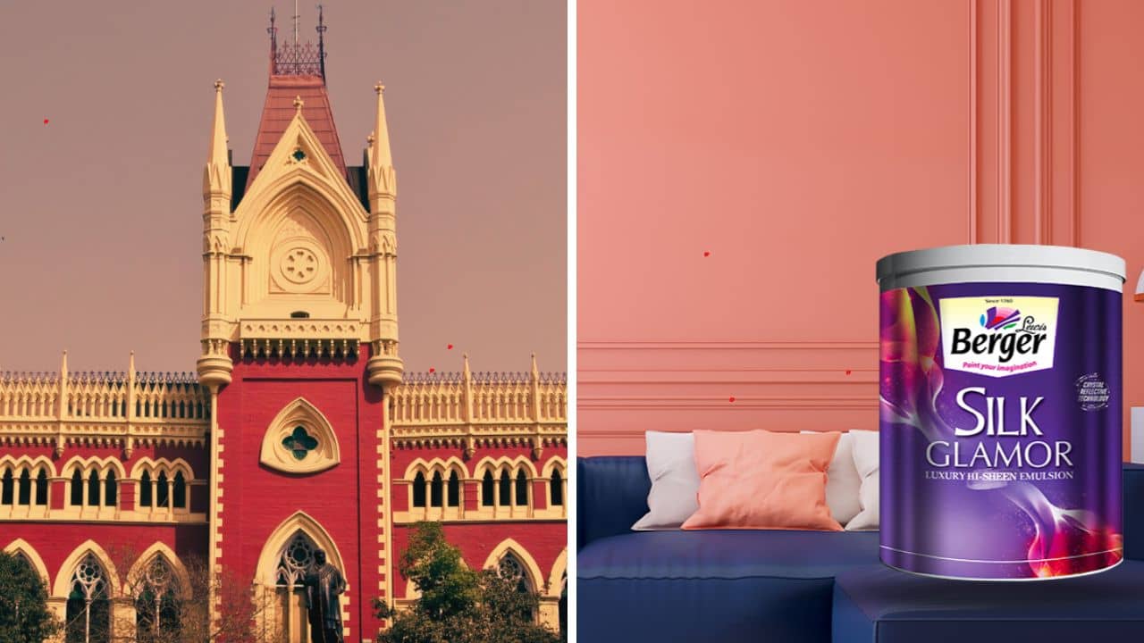 Calcutta High Court: SILK শব্দটা কি একটি সংস্থাই ব্যবহার করতে পারে? কী বলল হাইকোর্ট?