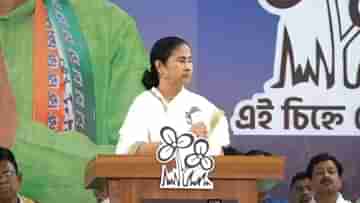 Mamata Banerjee: হালকা রঙের মাইক থাকে... আপনারা দেখতে পাবেন না, নেতারা কীভাবে বাংলা বলেন, বোঝালেন মমতা