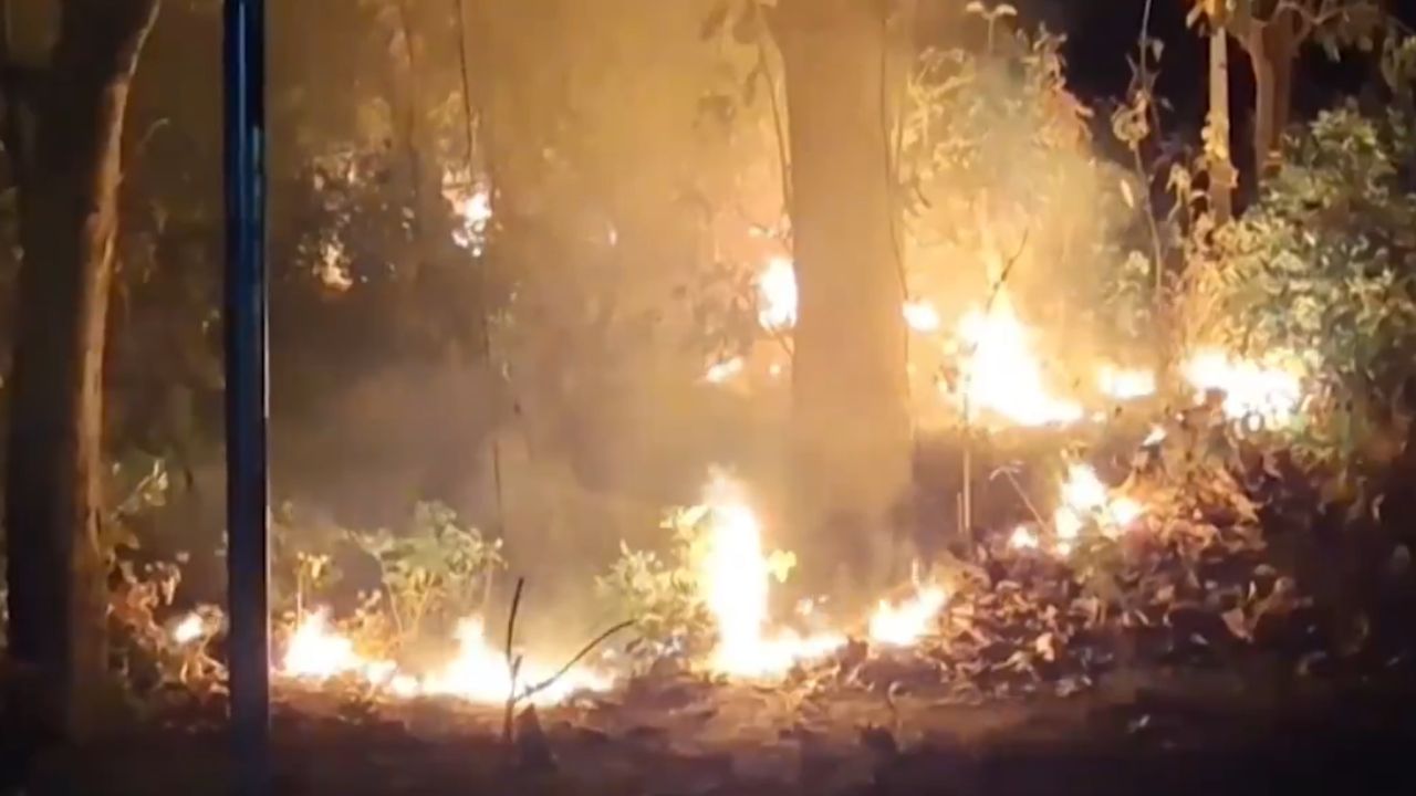 Forest Fire: আগুনের গ্রাসে চলে যাচ্ছে হাইকোর্ট কলোনি, ডাক পড়ল সেনাবাহিনীর