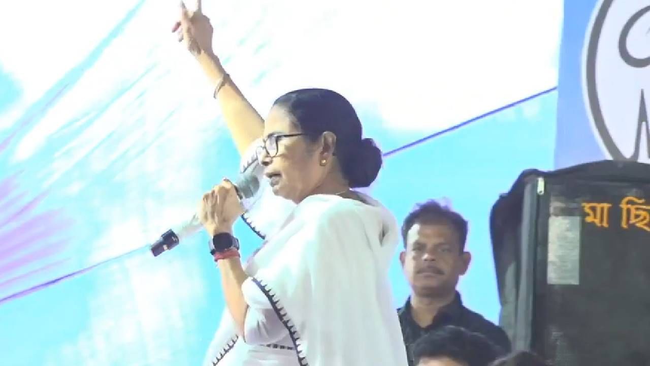 UPDATE Mamata Banerjee: হুঙ্কার দিলে মনে রাখবেন আমরাও রয়াল বেঙ্গল টাইগার: মমতা