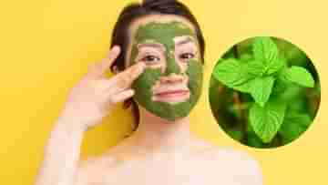 Mint Face Pack: ব্রণ, অত্যধিক সিবাম নিয়ে নাজেহাল? এই পাতা বেটে মুখে মাখলে গরমে পাবেন সতেজতাও