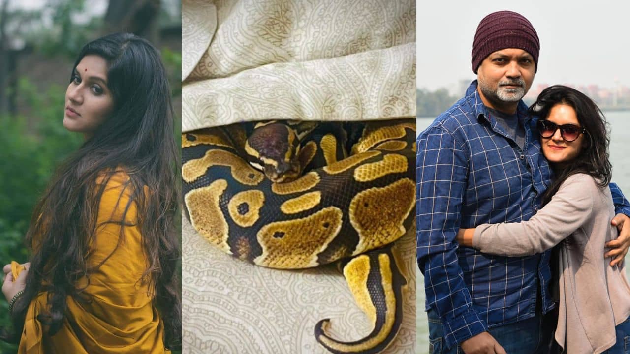 সৃজিতের চারটে পাইথন কিলবিল করছে বাড়িময়, ভয়ে কাঁটা স্ত্রী মিথিলা!