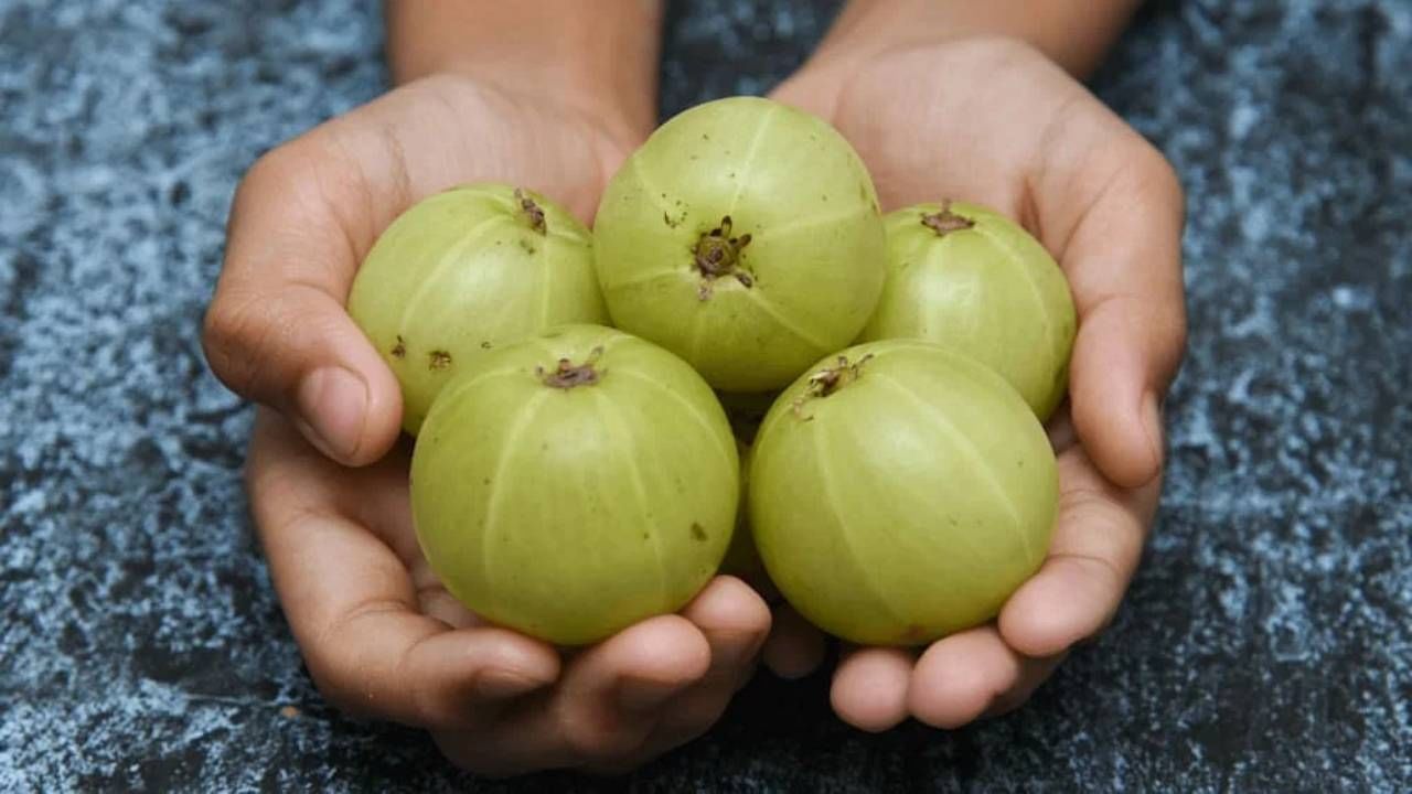 আমলকি ভিটামিন সি এবং অ্যান্টি অক্সিড্যান্ট সমৃদ্ধ ফল। রোজ প্রতিরোধ ক্ষমতা বৃদ্ধি এবং ত্বক ভালো রাখতে আমলকির জুরি নেই। এর পাশাপাশি একাধিক উপকার থাকা আমলকি আয়ুর্বেদে প্রাচীন কাল থেকে সমাদৃত হয়ে আসছে। 