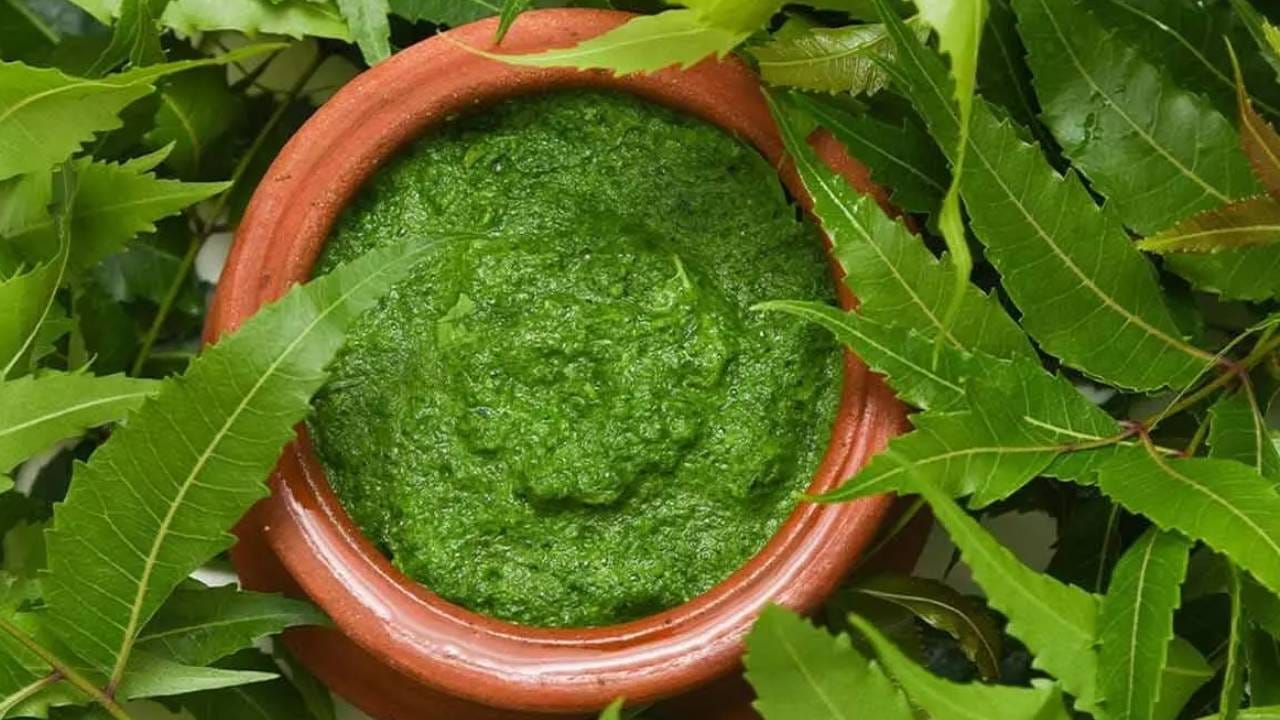 নিমপাতা খুবই ভালো অ্যান্টিসেপটিক আর গোলাপজল ত্বক স্নিগ্ধ আর সতেজ রাখে। নিমপাতা বেঁটে তার মধ্যে কয়েক চামচ গোলাপ জল মিশিয়ে লাগালে দারুণ কাজ দেবে।