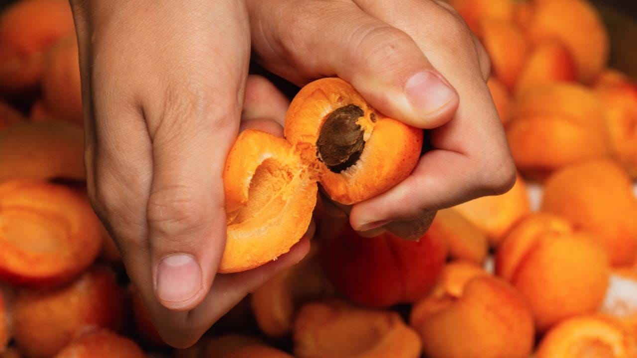 Apricot Benefits ওজন কমাতে দারুণ কাজে আসবে এই ফল, যত্ন নেবে চোখেরও