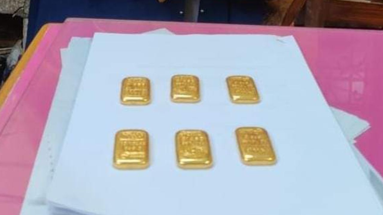 Gold Recovery: মহিলার যৌনাঙ্গের ভিতরে হাফ ডজন সোনার বাট! যেভাবে উদ্ধার করল বিএসএফ...