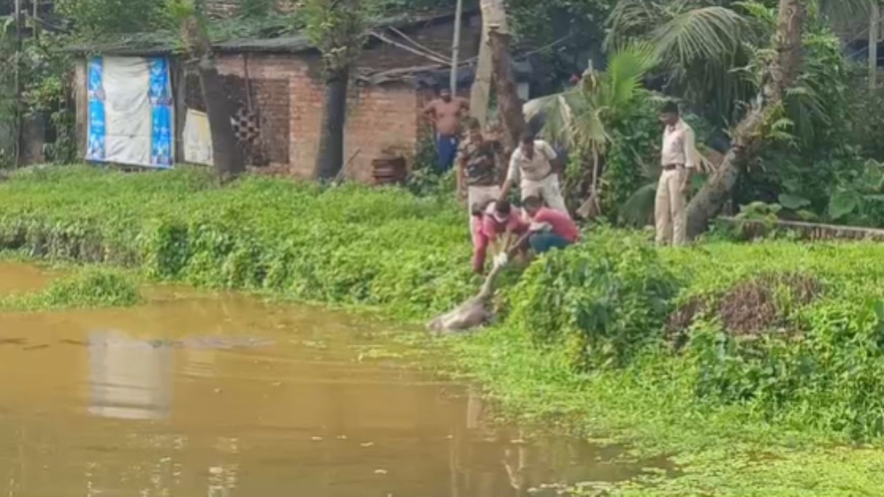 Baruipur: বছর সত্তরের বৃদ্ধের অর্ধনগ্ন শরীর ভাসছে জলে, প্রথমে মনে হয়েছিল সাঁতার কাটচ্ছেন, ভুল হয় ধারণা!