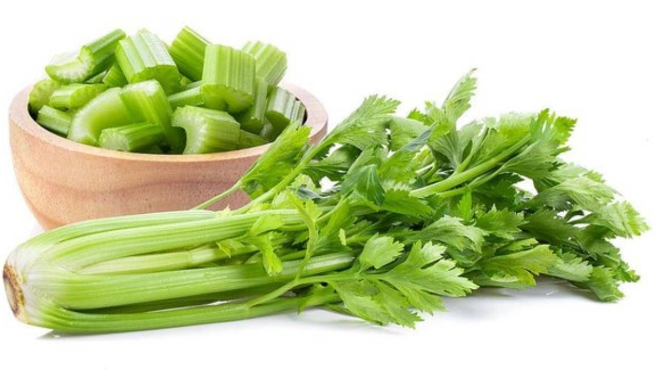 Celery7