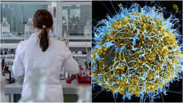 China deadly virus: তিনদিনেই হবে মৃত্যু! মারাত্মক এক সিন্থেটিক ভাইরাস তৈরি করল চিন