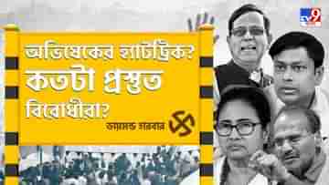 Diamond Harbour Lok Sabha Constituency: হ্যাটট্রিকের পথে অভিষেক? কতটা লড়াই দেবেন বিজেপির ববি?