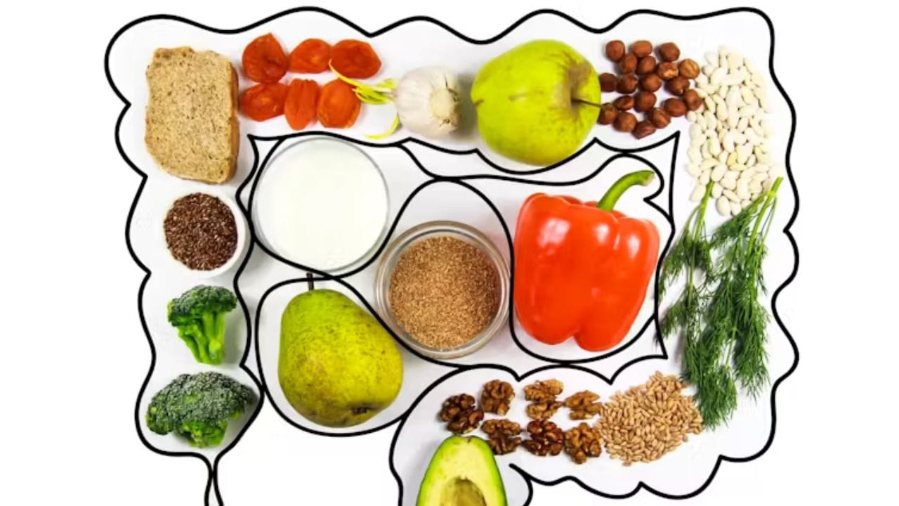 ফাইবার সমৃদ্ধ খাবার স্বাভাবিকভাবে হজম করতে সাহায্য করে। কোষ্ঠকাঠিন্য প্রতিরোধ করতেও সক্ষম হয়। এছাড়া পেট ফুলে যাওয়া, ডায়েরিয়া, বুক জ্বালা, গ্যাস-অম্বল হওয়া থেকে প্রতিরোধ করে এই ফাইবার-সমৃদ্ধ খাবার। 