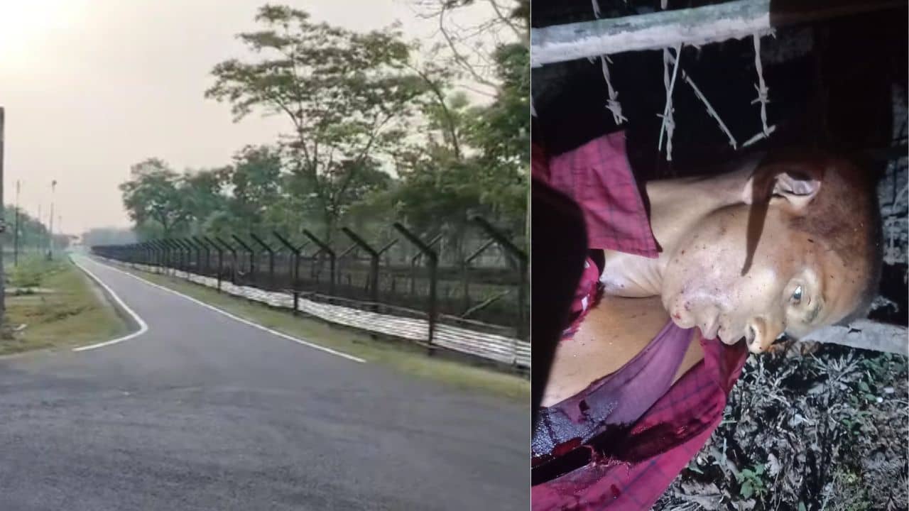 BSF: BSF-এর গুলিতে ঝাঁঝরা হয়ে গেলেন গরু পাচারে সিদ্ধহস্ত কাজিরুল মহম্মদ