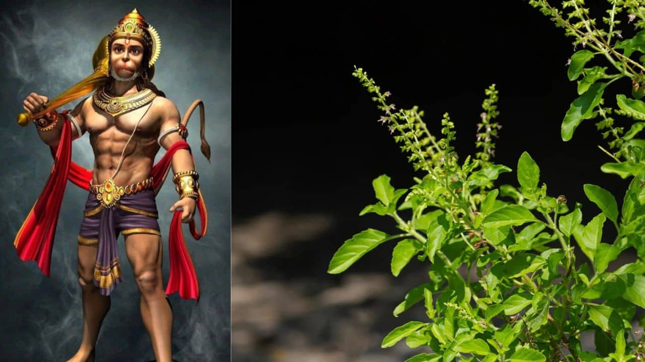 Jyeshtha Month 2024: জ্যৈষ্ঠমাসে রোজ পুজো করলে আর কখনও অর্থ-অন্নের কষ্ট হবে না! মানুন এই প্রতিকারও