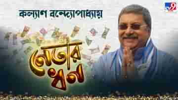 Kalyan Banerjee: কোটি টাকার বই, কালীঘাটে ফ্ল্যাট, কল্যাণের বার্ষিক আয় কত জানেন?