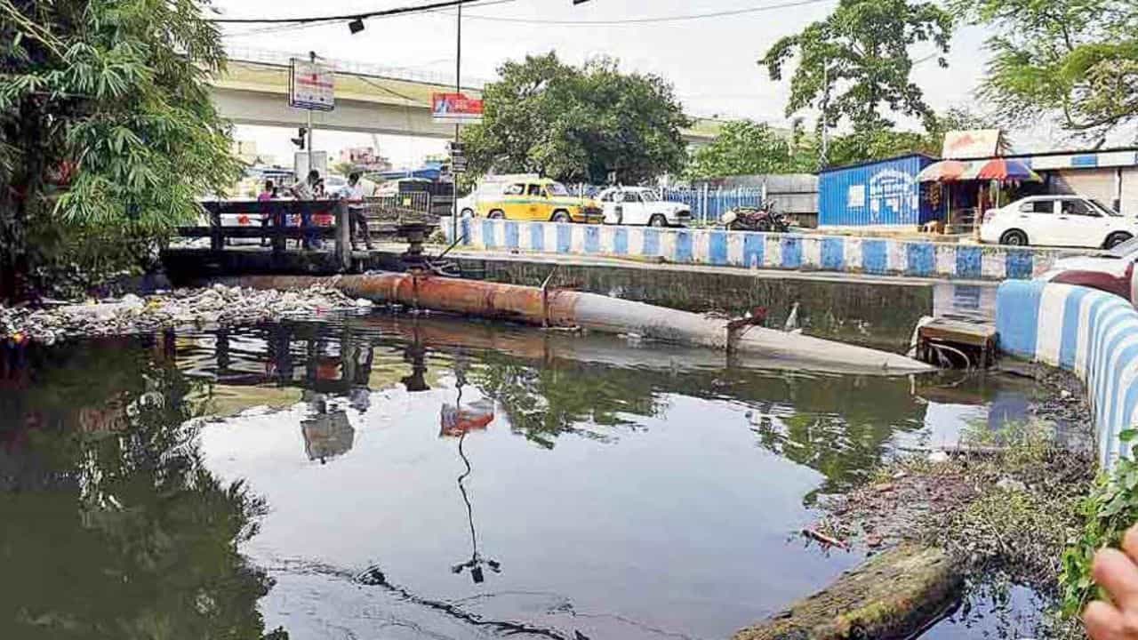 Kestopur: ভোটের মুখে কেষ্টপুর খালে চলছিল আবর্জনা সাফাই, রবিবার সকালে ভয়ঙ্কর দৃশ্যের সাক্ষী খালপাড়ের বাসিন্দারা Kestopur: ভোটের মুখে কেষ্টপুর খালে চলছিল আবর্জনা সাফাই, রবিবার সকালে ভয়ঙ্কর দৃশ্যের সাক্ষী খালপাড়ের বাসিন্দারা