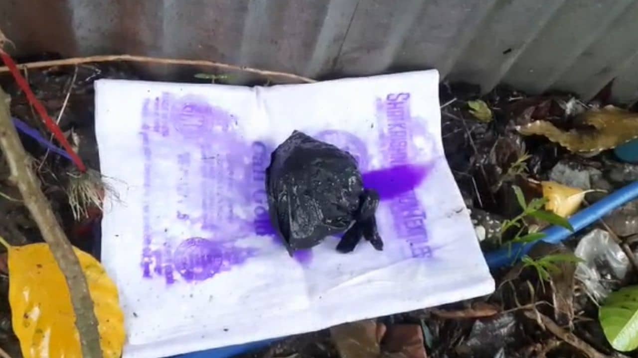 Khardah: ঘুম থেকে উঠেই আঁতকে উঠলেন মহিলা, BJP কর্মীর বাড়ির গেটে পড়ে রয়েছে সাদা থান