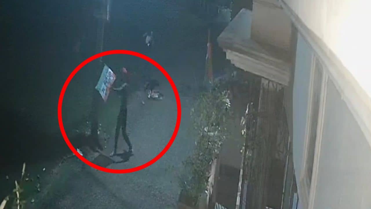 TMC-র পতাকা খুলে পুড়িয়ে দেওয়ার অভিযোগ! সব ধরা পড়ল সিসিটিভি ক্যামেরায়