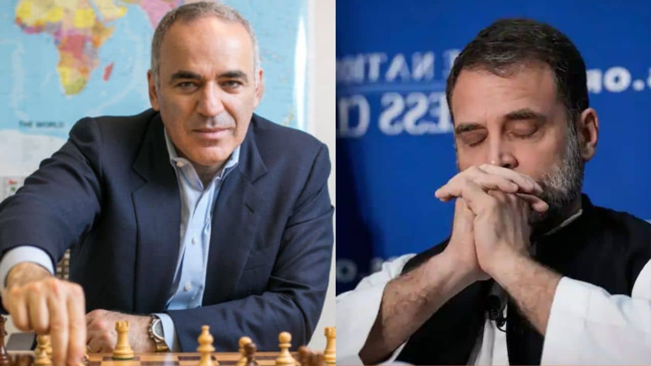 Rahul Gandhi-Garry Kasparov: আগে রায়বরৈলি জিতুক..., রাহুলকে ট্রোল তাঁরই পছন্দের রুশ দাবাড়ুর!