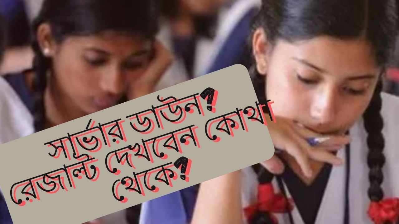 WB Board Class 10 Result 2024: রেজাল্ট বেরনোর সময় পর্ষদের সার্ভার ডাউন? কোথা থেকে নিমেষে মাধ্যমিকের ফল দেখবেন?