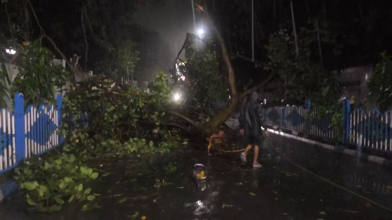 Cyclone Remal: দুর্যোগের রাতে জায়গায় জায়গায় ভাঙল গাছ, কলকাতায় ভেঙে পড়ল বাড়ি, মৃত ১