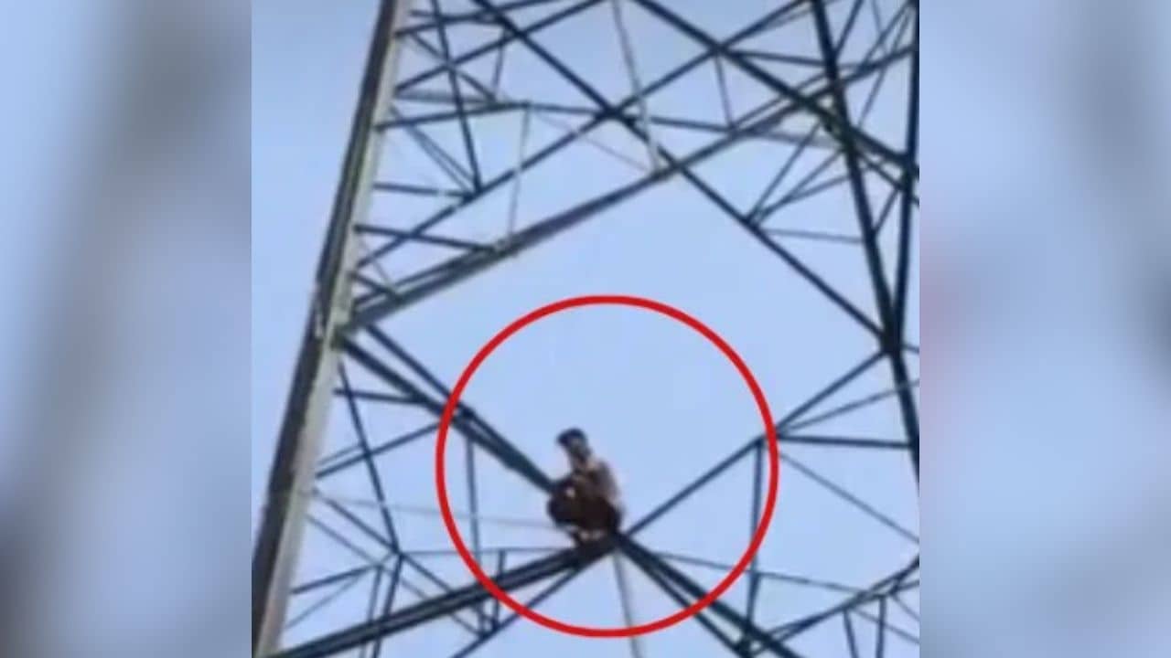 বাসন্তীর প্রেমে থানা থেকে পালিয়ে বিদ্যুতের খুঁটিতে চড়ল বীরু! শর্ত মেটাতে নাকানি-চোবানি খেল পুলিশ