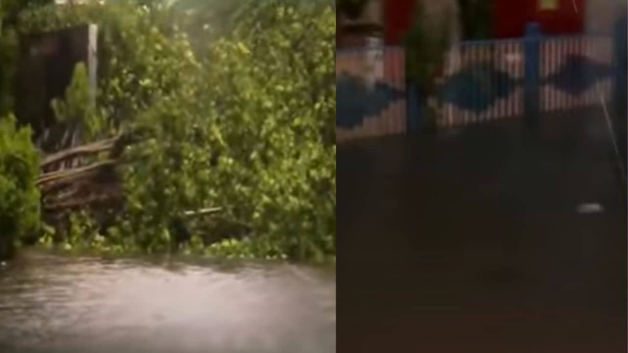 Waterlogging in Kolkata: রাস্তা যেন সমুদ্র! কোথাও হাঁটু সমান, কোথাও বুকে উঠছে জল, ক্যামাক স্ট্রিটে ভয়ঙ্কর জলছবি