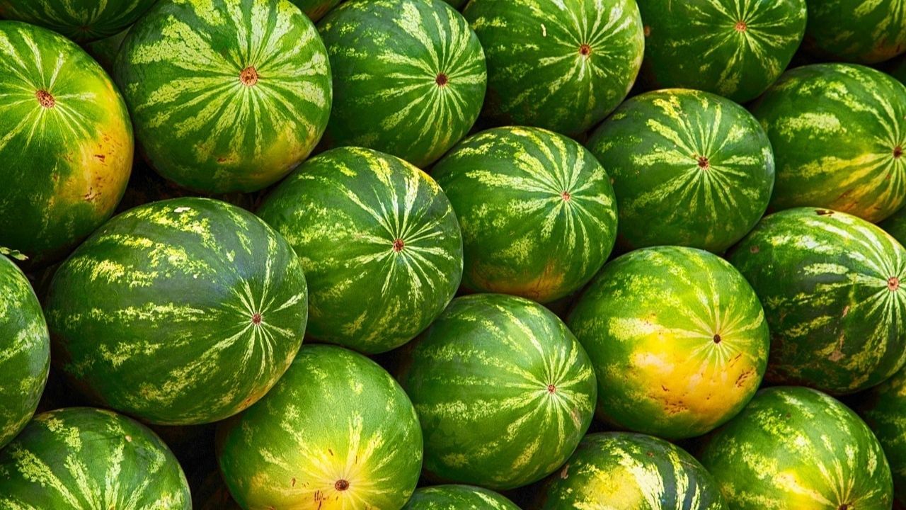 Large-Image Watermelon 3