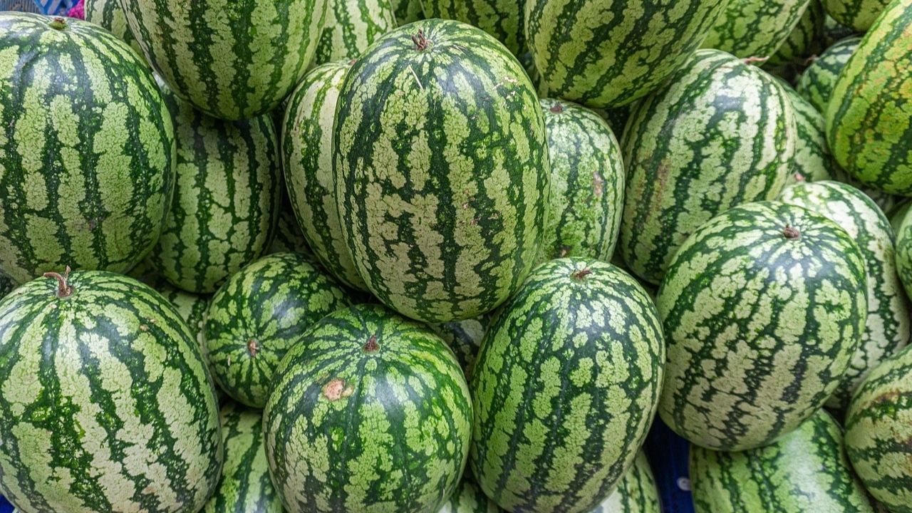 Large-Image Watermelon 8