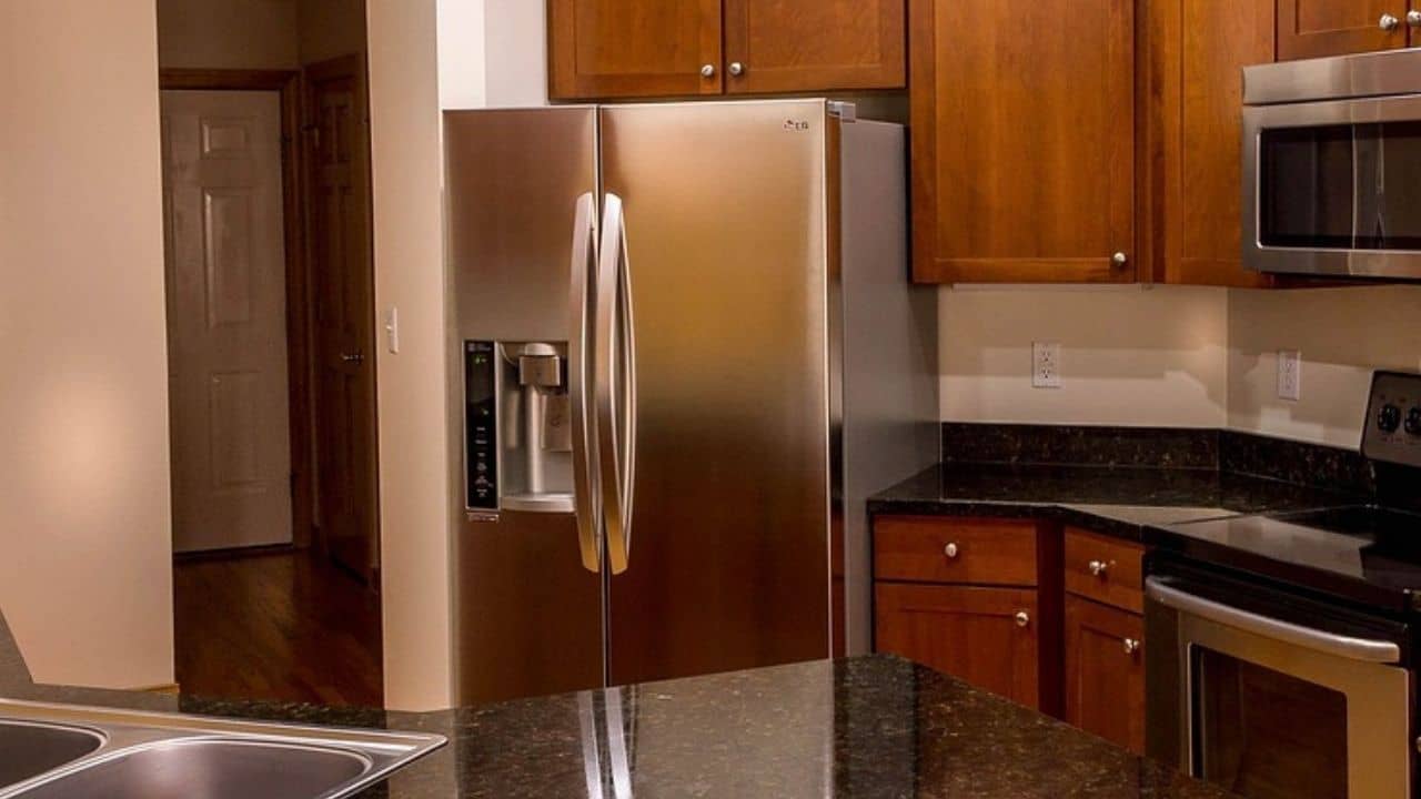 ফ্রিজের ভিতরে জুতোর বাক্স, আর তাতেই জমিয়ে রাখা ৪ নবজাতক!