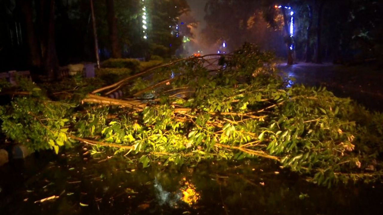 Cyclone Remal: রাত বাড়তেই কলকাতার হাওয়া ঘোরাচ্ছে রেমাল, দেখল মৃত্যুও