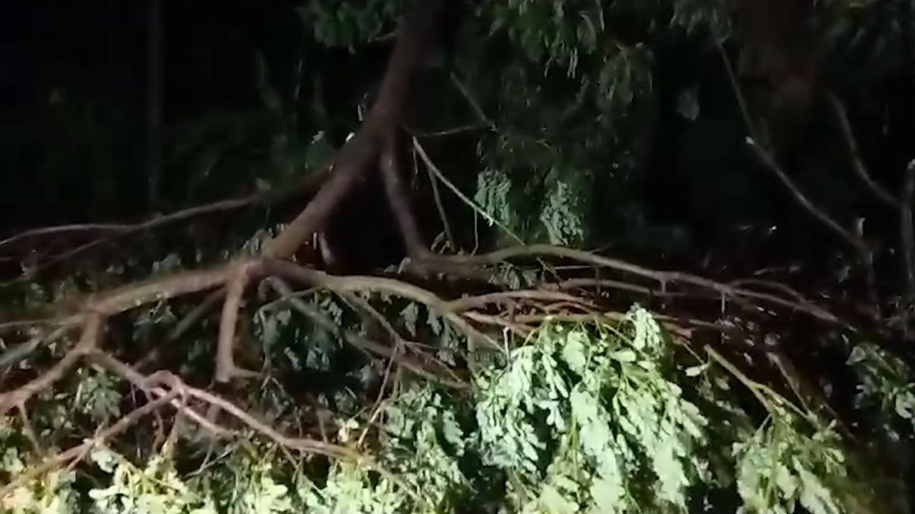 Cyclone Remal: রেমালের ল্যান্ডফল শুরু, ৪ ঘণ্টা ধরে চলবে প্রক্রিয়া