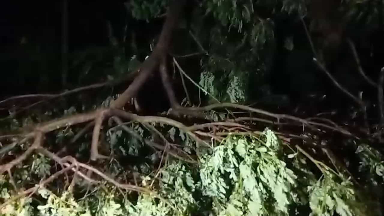 Cyclone Remal: রেমালের ল্যান্ডফল শুরু, ৪ ঘণ্টা ধরে চলবে প্রক্রিয়া Cyclone Remal: রেমালের ল্যান্ডফল শুরু, ৪ ঘণ্টা ধরে চলবে প্রক্রিয়া