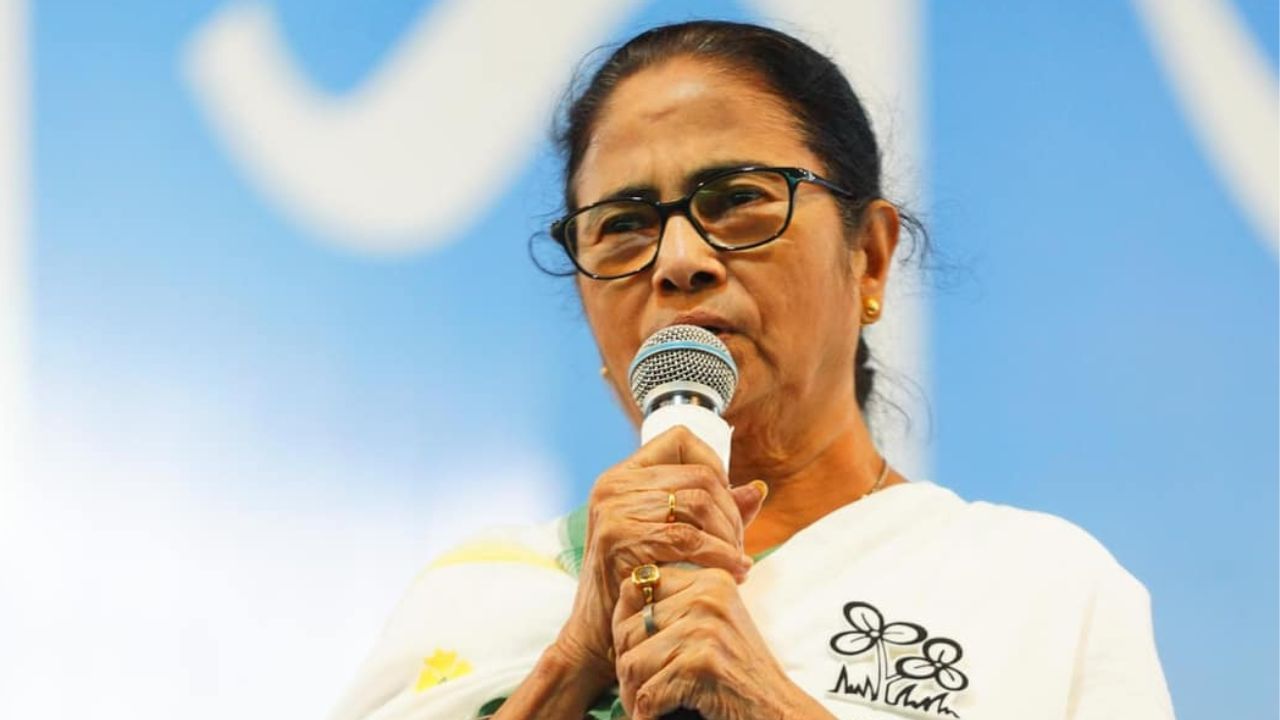 Mamata Banerjee: 'দুটো থাপ্পড় মেরে তাড়িয়ে দিতে পারি...', দলের উদ্দেশে বার্তা মমতার