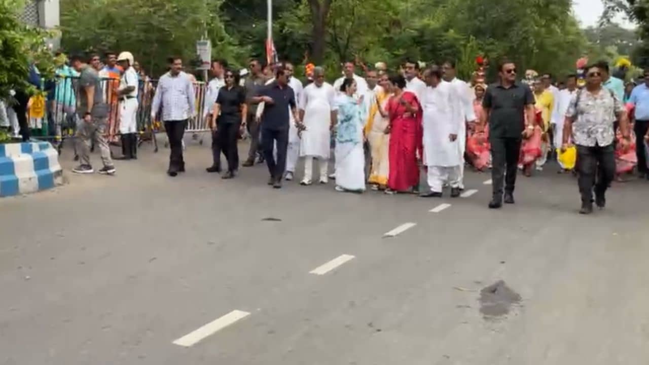 Mamata Banerjee Update: শেষ প্রচারে ঝড় তুলতে যাদবপুরে হাঁটছেন মমতা, পাশে মহুয়া